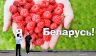 Бацькiны сакрэты: Всего в 400 км от МКАД ипотека каких-то 3-5%, но важно не ошибиться направлением