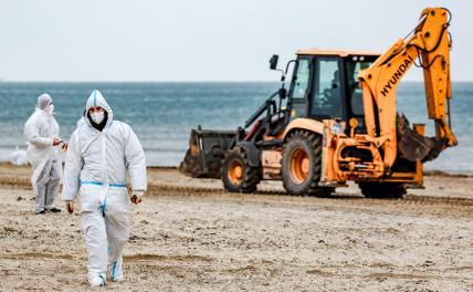 На фото: Анапа. Волонтеры во время уборки разлитого мазута на пляже.