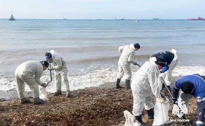 В Роспотребнадзоре рассказали о качестве рыбы, выловленной в Черном море
