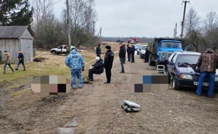 Трое лесничих в Калужской области погибли по вине Лесного кодекса. Госдума делает выводы