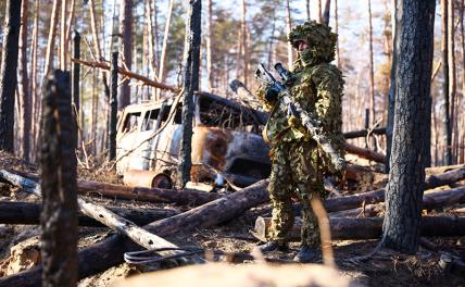 Украинский фронт, 3 февраля, главное за сутки: ВС РФ ведут бои на окраинах Покровска и Купянска