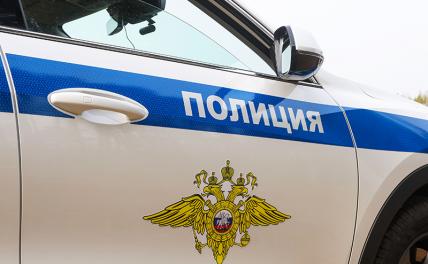 Нападавшие на прохожих ради видео подростки задержаны в Петербурге