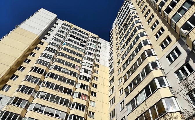 Судьба человейника: Что ждет высотные ульи в дальнейшем
