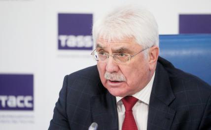 На фото: первый заместитель главы комитета по международным делам нижней палаты российского парламента Алексей Чепа.