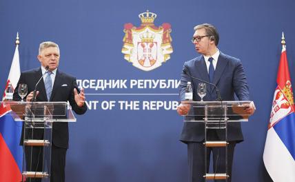 На фото: президент Сербии Александр Вучич и премьер-министр Словакии Роберт Фицо (справа налево)