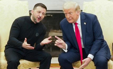 С кем поведёшься... Трамп, общаясь с Зеленским, превращается в клоуна
