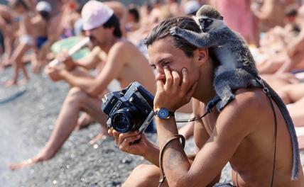 Что происходит? У курортных фотографов отберут мартышек, попугаи напряглись и прячутся