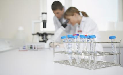 Американские ученые массово ищут работу за границей