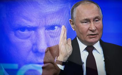 На фото: президент США Дональд Трамп и президент России Владимир Путин (комбинированный снимок, фотоиллюстрация)