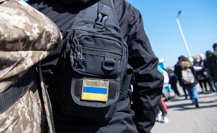 Гнать в шею неудобно, но придется: Евросоюз ищет способ избавиться от хуторян-нахлебников