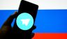 ТГ-сводка: Под "Золотым куполом" можно увидеть много забавных животных