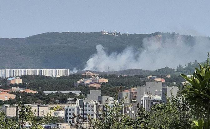 Самолет рухнул в Южной Корее