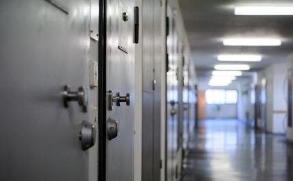 Таллин сдает в аренду сотни камер шведам, наверняка еще кто-то появится