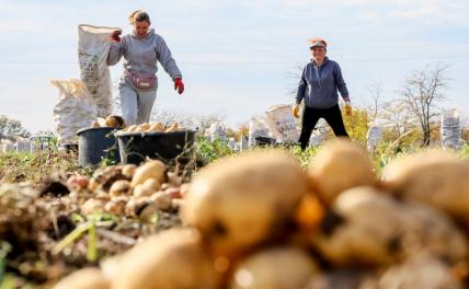 Скретарь ЦК КПРФ Сергей Обухов: России наручники не помогут, их не перед кем класть
