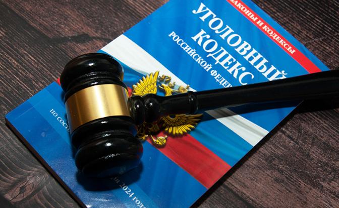 Школьницу спасли от таджика-насильника в Новосибирской области