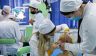 Диплом врача по цене московской «однушки» – кто-то на этом хорошо наживается