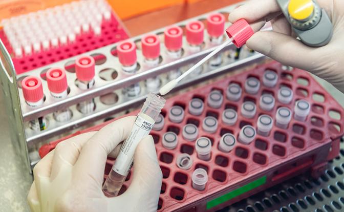 Завозной случай лихорадки чикунгунья впервые выявили в России