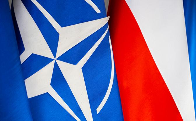 НАТО применила статью 4 после польского инцидента