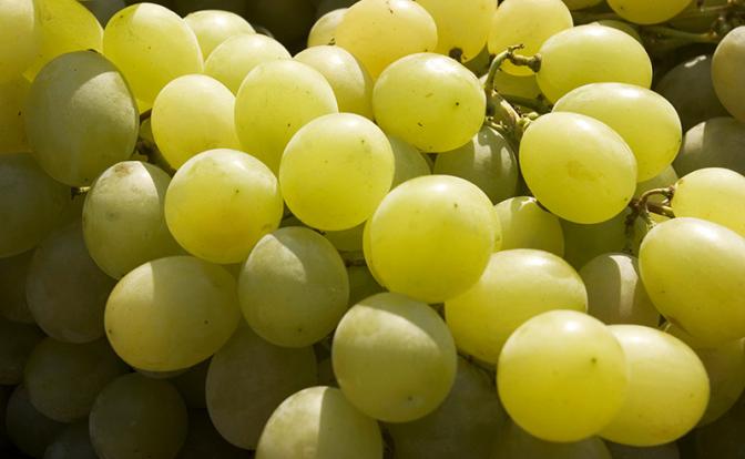 Стало известно, кому нельзя виноград