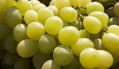 Стало известно, кому нельзя виноград