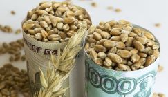 Эксперт: От российской пшеницы отказываются из-за крепкого рубля