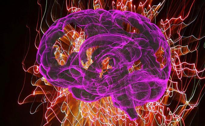 Названа самая полезная ягода для мозга Названа самая полезная ягода для мозга