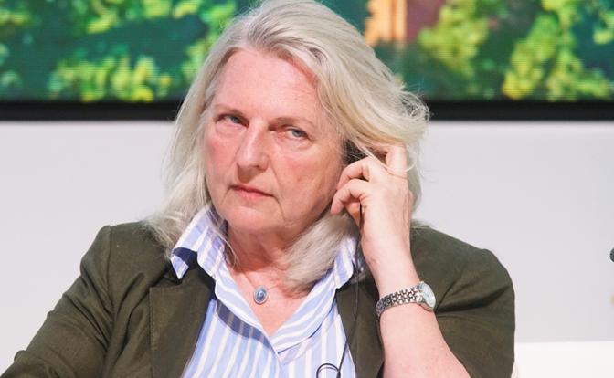 На фото: бывший министр иностранных дел Австрии Карин Кнайсль