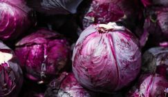 Диетолог назвал овощ, предотвращающий рак