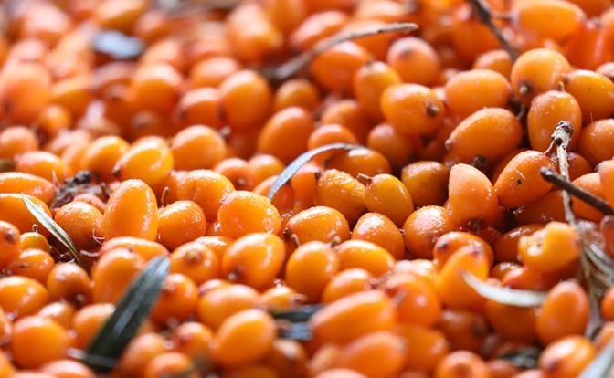 «Против рака и холестерина»: врач раскрыла полезные свойства популярной ягоды