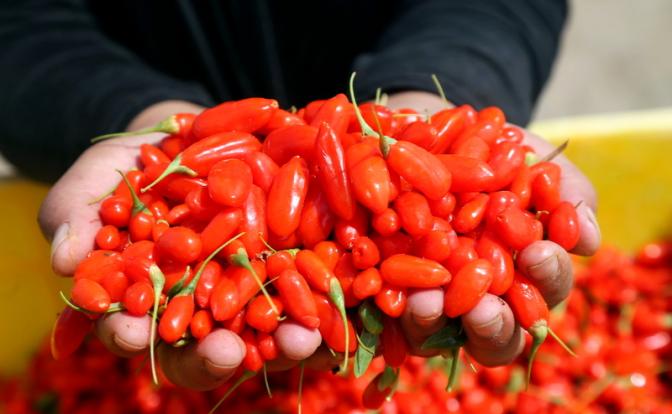 Диетолог опровергла миф о пользе ягод годжи и спирулины Диетолог опровергла миф о пользе ягод годжи и спирулины