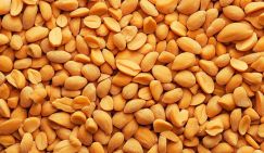 Озвучен продукт питания, который улучшает память и кровоснабжение мозга