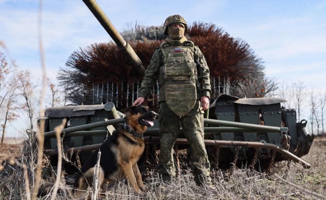Пса по кличке Донбасс номинировали на престижную премию: он спас бойцов в зоне СВО ценой жизни