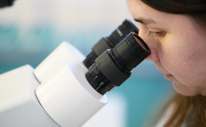 В России обнаружено 60 неизвестных вирусов