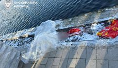Страшная находка в Гольяновском пруду. Что известно об убийстве ребенка в Москва