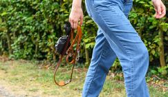 Ученые раскрыли, как набирающий популярность хоббидоггинг влияет на детей и взрослых