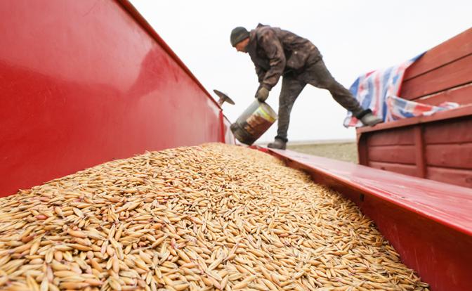 Фермеров душат постепенно: за последние годы закрылось больше 2 миллионов личных подсобных хозяйств