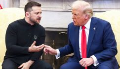 «План Трампа»: «Зеленский — это ишак, который заупрямился. А ишака в конце всегда ждет живодерня»