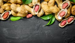 Ученые назвали популярный перекус, усиливающий память