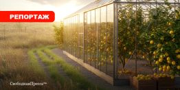 Подмосковье – территория будущего. Здесь растут цитрусовые и водятся осетры