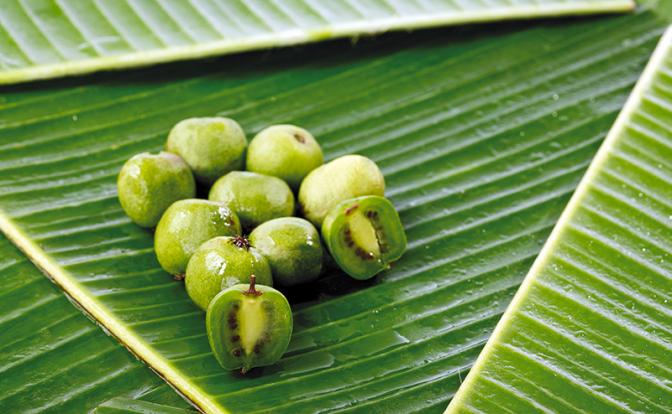 На фото: плод киви, ранее известный как китайский крыжовник (Actinidia chinensis), на банановых листьях.