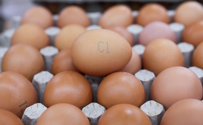 В поселке Красноярского края вспыхнул продовольственный кризис: молоко, мясо и яйца на вес золота