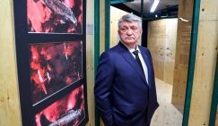 Не та "Порода": Сокуров атаковал детей бойцов СВО, забыв про саботаж трагедии Донбасса коллегами по цеху