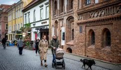 Прибалтийские сестрицы махнули в Ирландию, оставив дом на «лесных братьев»