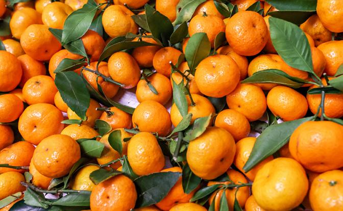 Мандарины назвали самым доступным источником витаминов для россиян