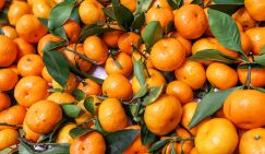 Мандарины назвали самым доступным источником витаминов для россиян