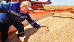 Урожай для экспорта или для народа? Почему амбары ломятся, а кошелки пустеют