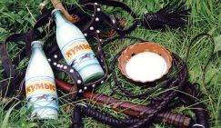 Диетолог рассказала, какой напиток лучше всего снимает похмелье