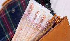 Ёлки-бабки: Новый год — большие деньги, за каникулы – зарплата