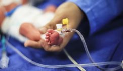 Трагедия в роддоме Новокузнецка, которая потрясет не только Кузбасс, но и Москву: Новый год обернулся массовой гибелью младенцев