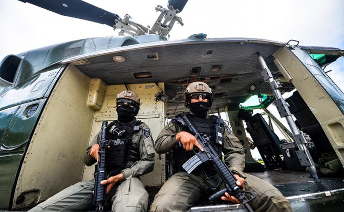 Тайные игры до первой крови. Как западные спецслужбы будут убиваться за Гренландию